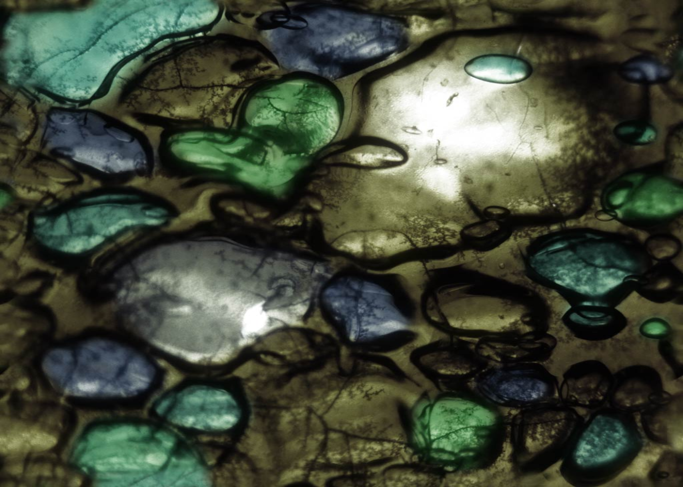 Display Texture
